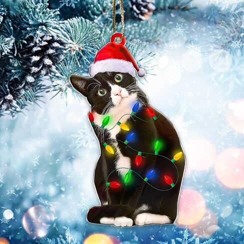 Tuxedo Cat Ornament - Black and White Cat Christmas - Bicolor Xmas Ornaments - Tuxedo Christmas Tree Hanging Ornament (Tuxedo Cat What) in Saudi Arabia