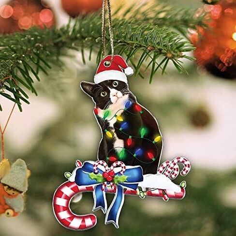Tuxedo Cat Ornament - Black and White Cat Christmas - Bicolor Xmas Ornaments - Tuxedo Christmas Tree Hanging Ornament (Tuxedo Cat What) in Saudi Arabia