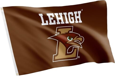 Desert Cactus Lehigh University Flag Mountain Hawks Flag Banners 100% Polyester Indoor Outdoor 3x5 feet Flags (Style 1) in Saudi Arabia