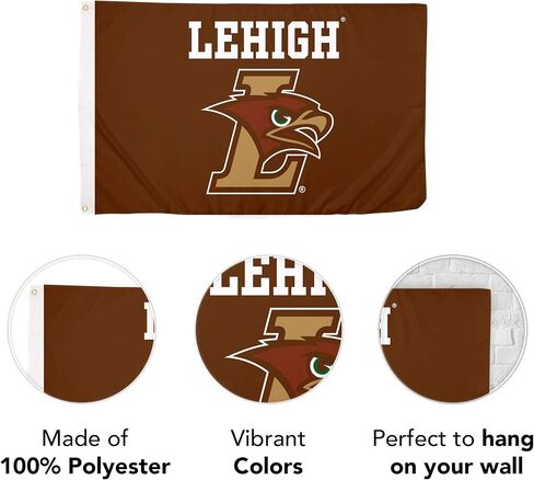 Desert Cactus Lehigh University Flag Mountain Hawks Flag Banners 100% Polyester Indoor Outdoor 3x5 feet Flags (Style 1) in Saudi Arabia