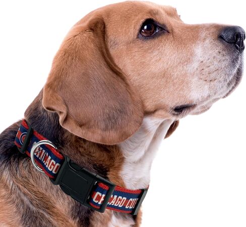 MLB PET طوق شيكاغو الأشبال طوق الكلب، صغير. طوق فريق البيسبول للكلاب والقطط. طوق للكلاب والقطط لامع وملون مرخص من MLB in Saudi Arabia