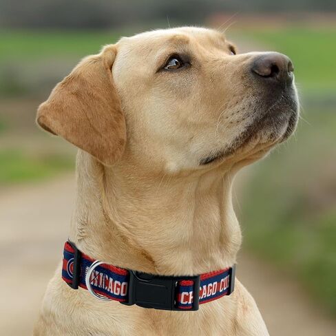MLB PET طوق شيكاغو الأشبال طوق الكلب، صغير. طوق فريق البيسبول للكلاب والقطط. طوق للكلاب والقطط لامع وملون مرخص من MLB in Saudi Arabia
