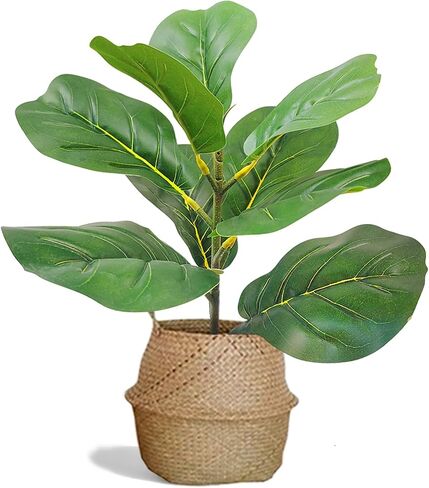 31" Tall Artificial Fiddle Leaf Fig Tree Faux Ficus Lyrata for Indoor Outdoor Office Home Shop Farmhouse Decor (31 inch) in Saudi Arabia