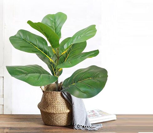 31" Tall Artificial Fiddle Leaf Fig Tree Faux Ficus Lyrata for Indoor Outdoor Office Home Shop Farmhouse Decor (31 inch) in Saudi Arabia
