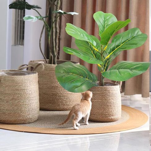 31" Tall Artificial Fiddle Leaf Fig Tree Faux Ficus Lyrata for Indoor Outdoor Office Home Shop Farmhouse Decor (31 inch) in Saudi Arabia