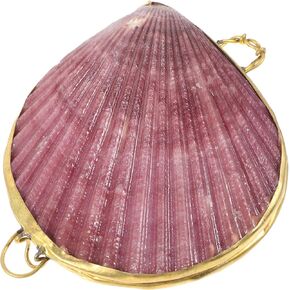 LIFKOME Seashell Trinket Box Hinged Jewelry Box Jewelry Organizer Case Jewelry Holder Box Wedding Ring Holder Metal Seashell Figurine for Ring Display