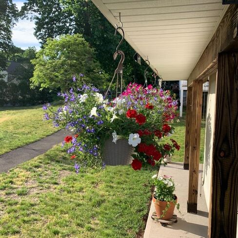 خطافات S متينة مقاس 6 بوصات، خطافات كبيرة S لتعليق النباتات، خطافات S مطلية بالفينيل، خطافات S متينة غير قابلة للانزلاق لتعليق الخزانة، مغذيات الطيور، المطبخ، حديقة وعاء الوعاء in Kuwait