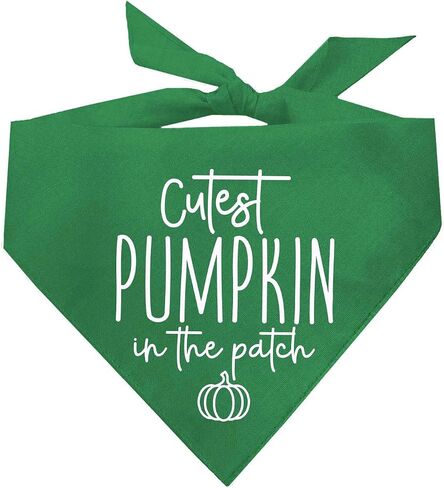 Cutest Pumpkin in The Patch Pumpkin Picking Dog Bandana (Orange, OS 1122) in Saudi Arabia