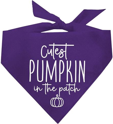 Cutest Pumpkin in The Patch Pumpkin Picking Dog Bandana (Orange, OS 1122) in Saudi Arabia