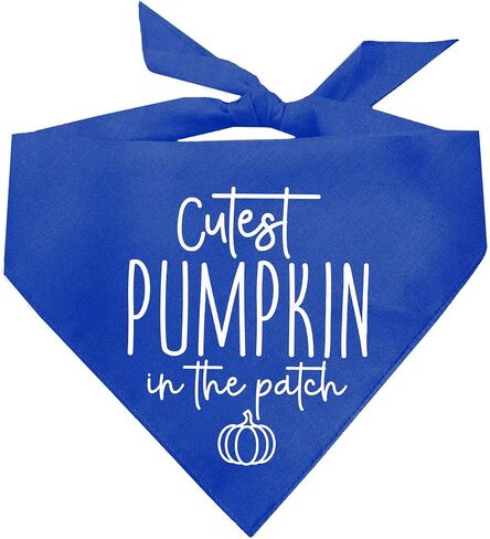 Cutest Pumpkin in The Patch Pumpkin Picking Dog Bandana (Orange, OS 1122) in Saudi Arabia