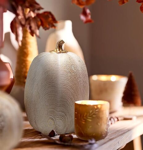 2 PCS Fall Pumpkin Decor, Gold Resin Pumpkin Figurines, Fall Decorations for Home, Rustic Farmhouse Neutral Artificial Pumpkin Statues for Thanksgiving, Table Centerpieces, Autumn, Harvest (Textured) in Saudi Arabia