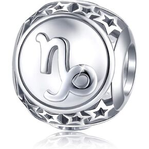 FOREVER QUEEN Zodiac Sign Charm fit Charms Bracelet, 925 Sterling Silver Plated Platinum Star Bead Charm 12 Horoscope Constellation Charm for Bracelet and Necklace, Birthday Gift