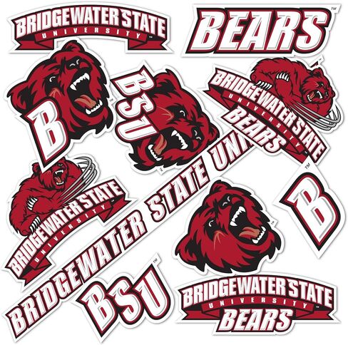 Desert Cactus Bridgewater State University Stickers BSU Bears Vinyl Decals Laptop Water Bottle Car Scrapbook 13.43x10.98 Sheet T2 (Type 2) in Saudi Arabia