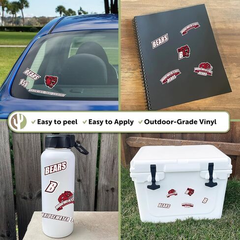 Desert Cactus Bridgewater State University Stickers BSU Bears Vinyl Decals Laptop Water Bottle Car Scrapbook 13.43x10.98 Sheet T2 (Type 2) in Saudi Arabia