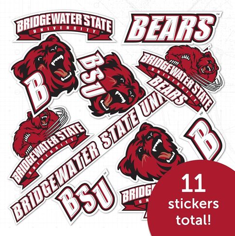 Desert Cactus Bridgewater State University Stickers BSU Bears Vinyl Decals Laptop Water Bottle Car Scrapbook 13.43x10.98 Sheet T2 (Type 2) in Saudi Arabia