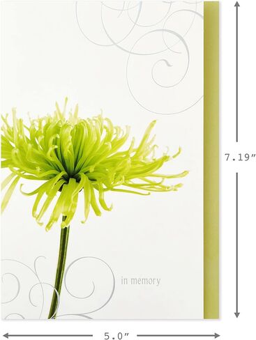 Hallmark Sympathy Cards Assortment, Nature (16 Cards with Envelopes) in Saudi Arabia