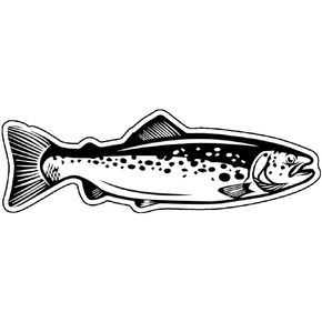 WickedGoodz Trout Vinyl Decal - Fly Fishing Bumper Sticker - Trout Angler Decal