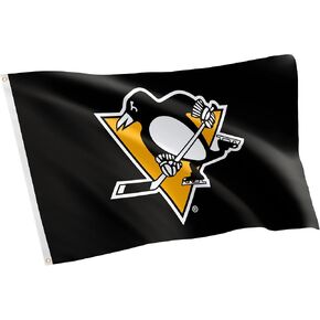 Desert Cactus Pittsburgh Penguins Flag NHL 100% Polyester Indoor Outdoor 3x5 feet National Hockey League Team Flags (Design #2)