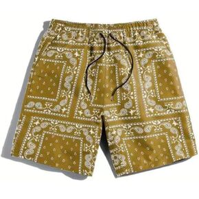 Men's Paisley Shorts Mesh Graphic Print Casual Beach Shorts Athletic Gym Workout Running Short Retro Pants