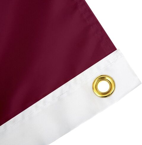 Desert Cactus Southern Illinois University Flag Salukis SIU SIUC Flags Banners 100% Polyester Indoor Outdoor 3x5 (Style 1a) in Saudi Arabia