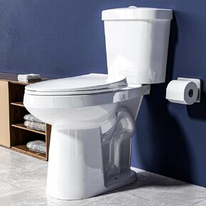 Extra Tall Toilet 21 Inch - Elongated Toilet Dual Flush Av 1.28 GPF,Two Piece High Toilet for Seniors,Comfort Bowl Height Bathroom Toilet for Elderly & Pregnant & Disabled & Tall,12" Rough In