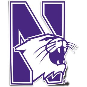 Desert Cactus Northwestern University Wildcats Vinyl Decal Laptop Water Bottle Car Scrapbook Sticker (IND 4)