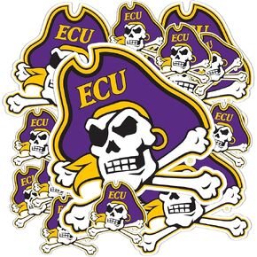 Desert Cactus East Carolina University Pirates ECU Stickers Vinyl Decals Laptop Water Bottle Car Scrapbook 11.39x8.98 Sheet T3 (Type 3-1)
