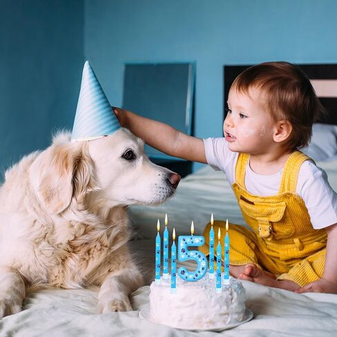 Photect 7 Pcs Number 2 Blue Dog Paw Birthday Candles Blue Dog Paw Print Themed Birthday Candles Numeral Birthday Cake Topper for Boy Girl Dog Paw Birthday Decoration Blue Dog Party Supplies in Saudi Arabia