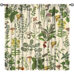 Vintage Botanical Curtains,Antique 1900s Plants Herbs Mushroom Blackout Window Drapes for Kitchen,Boho Retro Wildflower Green Leaf Ferns Farmhouse Window Treatment for Living Room 42x45 Inch