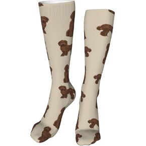 Labradoodle Dog Chocolate Labradoodles Design Tan Compression Socks For Women & Men Circulation 10-20 Mmhg Is Best Support For Athletic Running,Cycling,Nurse
