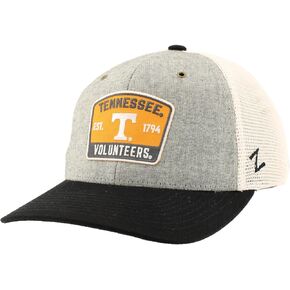 Zephyr Unisex Adult NCAA Officially Licensed Snapback Dylan Patch Switch Hat, Heather