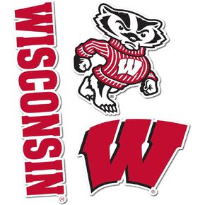 Desert Cactus University of Wisconsin Stickers Badgers UW Madison Vinyl Decals Laptop Water Bottle Car Scrapbook T5 (Type 5-1)