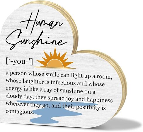 Human Sunshine Definition Desk Signs Appreciation Gifts for Women Thank You Gift for Friends Coworker Teacher Doctor Nurse, Inspirational Gift for Mom Aunt Sister Daughter, Decor Signs Plaques -DH217 in Saudi Arabia