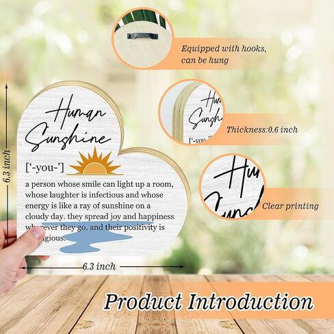 Human Sunshine Definition Desk Signs Appreciation Gifts for Women Thank You Gift for Friends Coworker Teacher Doctor Nurse, Inspirational Gift for Mom Aunt Sister Daughter, Decor Signs Plaques -DH217 in Saudi Arabia