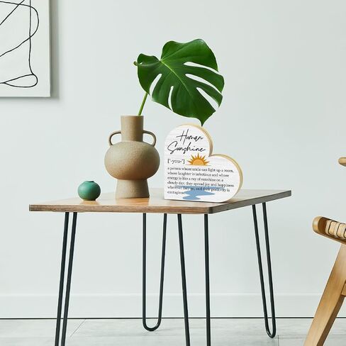 Human Sunshine Definition Desk Signs Appreciation Gifts for Women Thank You Gift for Friends Coworker Teacher Doctor Nurse, Inspirational Gift for Mom Aunt Sister Daughter, Decor Signs Plaques -DH217 in Saudi Arabia