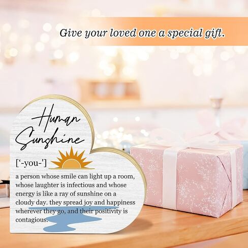Human Sunshine Definition Desk Signs Appreciation Gifts for Women Thank You Gift for Friends Coworker Teacher Doctor Nurse, Inspirational Gift for Mom Aunt Sister Daughter, Decor Signs Plaques -DH217 in Saudi Arabia