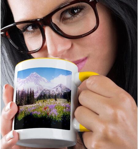 3dRose Mount Rainier Viewed from a Field of Flowers Mug, 11 oz, Ceramic in Saudi Arabia