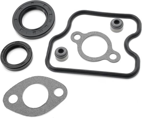 10L0L Golf Cart Engine Gasket Kit and Seals for Club Car DS Precedent FE290 290cc 1992-up 1023047-01 6751 in Saudi Arabia