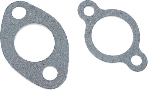 10L0L Golf Cart Engine Gasket Kit and Seals for Club Car DS Precedent FE290 290cc 1992-up 1023047-01 6751 in Saudi Arabia