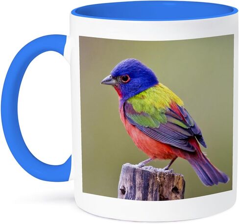 3dRose Painted Bunting Male Bird Perched Mug, 11 oz, Blue in Saudi Arabia