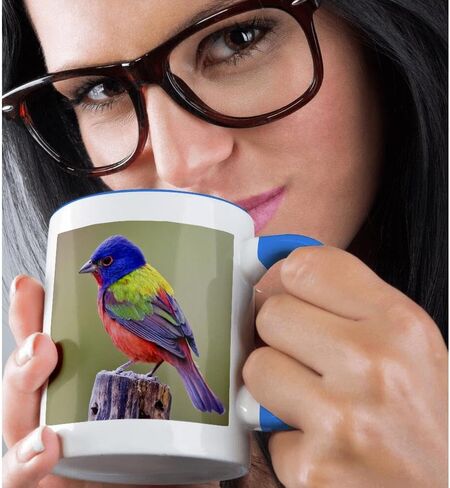 3dRose Painted Bunting Male Bird Perched Mug, 11 oz, Blue in Saudi Arabia