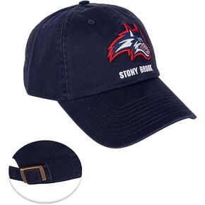Desert Cactus Stony Brook University Baseball Hat Seawolves Seawolf Brimmed Embroirderd Hats Cap Adjustable Cloth Strap Adult (Style C) Blue