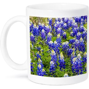 3dRose Bluebonnet Flowers Near Willow City Texas Use Two Tone Mug, 11oz, Multicolored