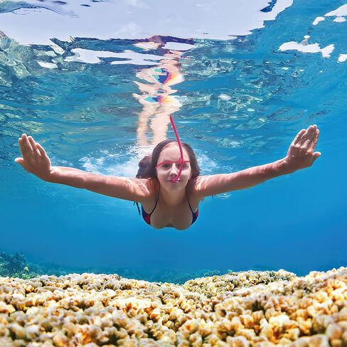 Swim Snorkel Front Mounted, Swimming Mounted with Silicone Mouthpiece Training Breath Gear for Lap Adult Swimmers Snorkeling Air Breathing Tube Wet Underwater Diving Head Pads Acce in Saudi Arabia