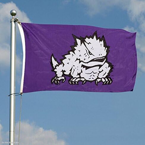 شركة College Flags & Banners Co. ضفادع تكساس ذات القرون المسيحية مطرزة ومخيطة من النايلون in Saudi Arabia