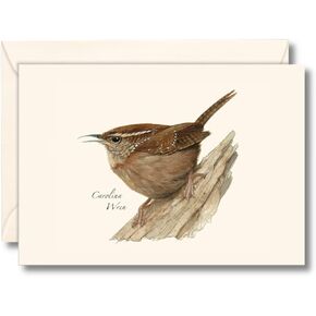 Earth Sky + Water - Carolina Wren Notecard Set - 8 Blank Cards with Envelopes