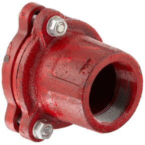Dixon DFVS25 Painted Carbon Threaded Foot Valve Complete Assembly, 2" NPT