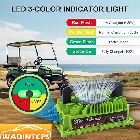 36 Volt Golf Cart Battery Charger for EZGO TXT,Replace EZGO TXT Charger 18A 36V with D Style Plug in Saudi Arabia