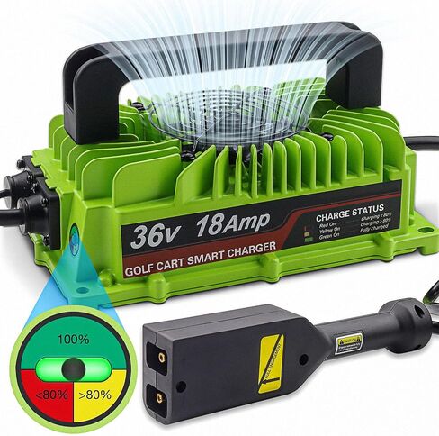 36 Volt Golf Cart Battery Charger for EZGO TXT,Replace EZGO TXT Charger 18A 36V with D Style Plug in Saudi Arabia