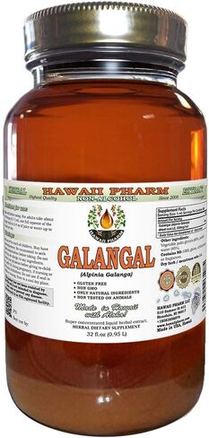Hawaii Pharm Galangal Root Alcohol-FREE Liquid Extract, Organic Organic Galangal (Alpinia Galangal) Dried Root Glycerite Natural Herbal Supplement 2 oz in Saudi Arabia